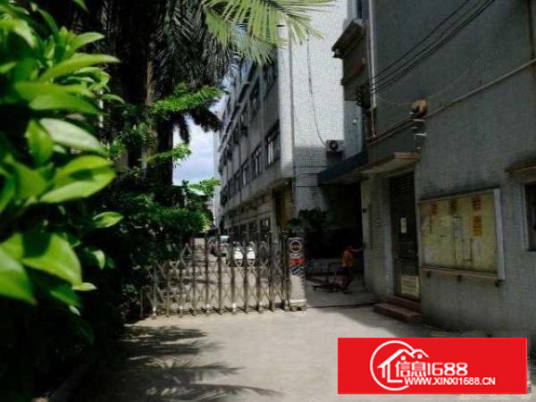 出租茶山镇茶山城区850平一层厂房-价格优惠