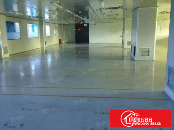 常平新出花园式独院标准厂房带现成万级无尘车间火爆招租