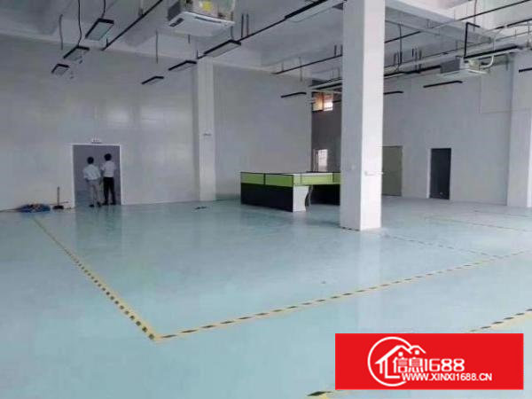 沙井新出一楼高度6米1000平米厂房招租