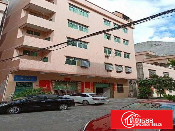 东莞茶山镇标准五层厂房2000平方出租，可分租