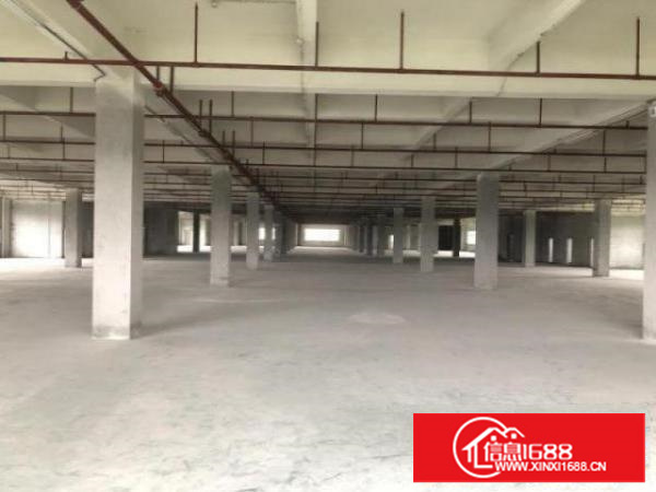 万江周边1出租5001500、2000平方出租形象漂