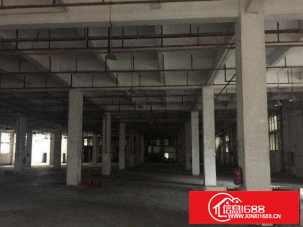 坪山鸳鸯围标准厂房一楼1000平方