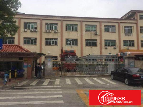 松岗碧头地铁口原房东红本独院厂房二楼1280平方