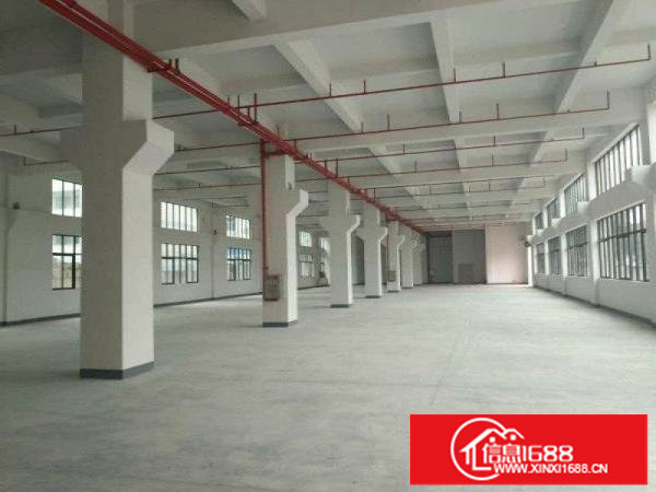 龙岗坪地150000平红本厂房，享高新补，可分租