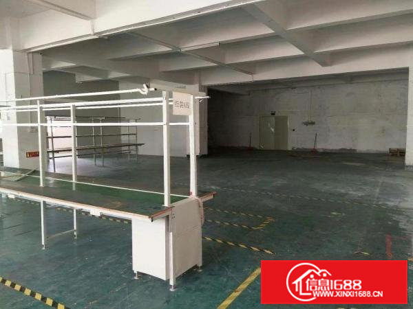 精装修，虎门龙眼新出楼上带装修厂房1300平