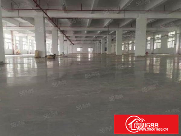 东坑原房东红本厂房出租可分租可办环评位置优越带有豪华装修