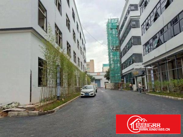 龙华民治新出厂房精装修厂房1000平