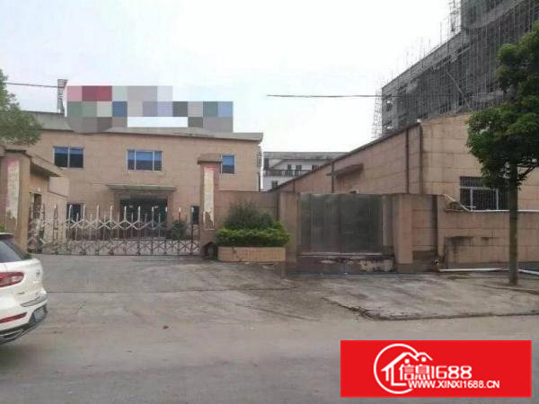 清溪九乡工业区单一层2600平砖墙铁皮顶厂房带精装办公室