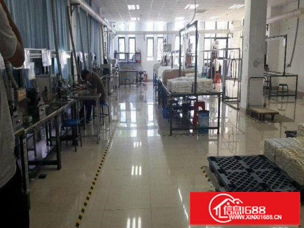 坂田小独院一楼450平方带现成装修办公室整租