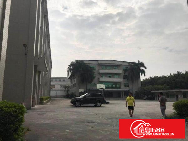 清溪镇中心街靓盘上市整栋分层出租或分栋出租，原房东