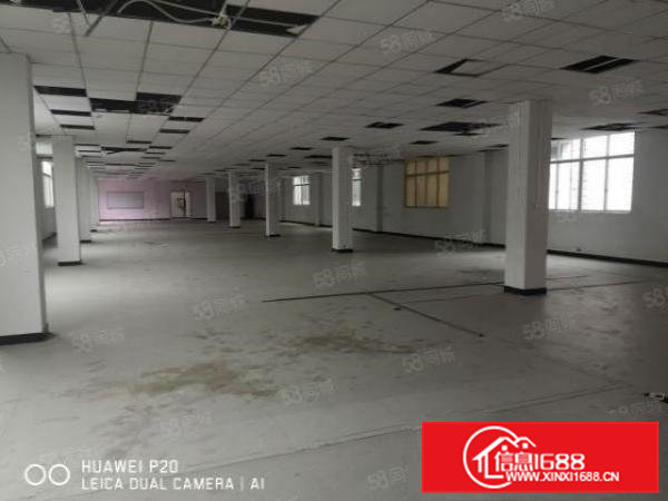 实图）大朗巷头经典独院厂房7000平2栋厂房，带地坪漆可分租