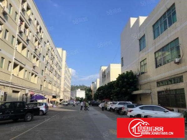 龙华观澜工业园精装修无尘车间仓库厂房出租850平价格便宜