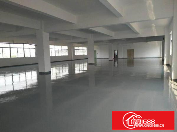 新圩高速口新出带装修独院厂房1600平米出租