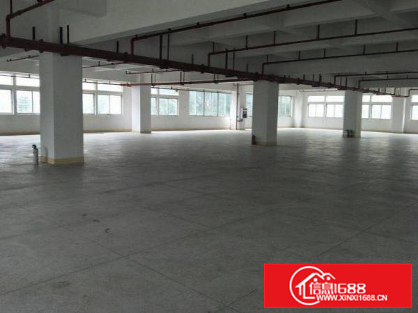 惠阳新墟全新1300平标准楼房出租可分租，水电办公室齐全