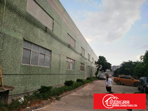 大亚湾西区新出7.5米高钢构厂房4300平大小分租