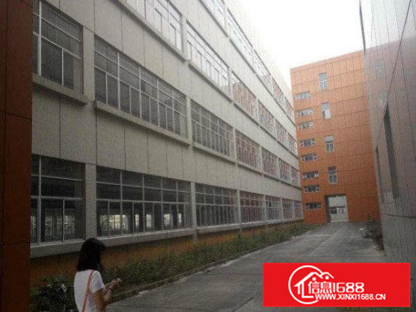 （出租）清溪现有一楼1000平方厂房可分租