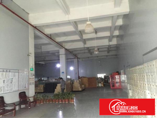 观澜松元环观中路边一楼6米高标准厂房报价28