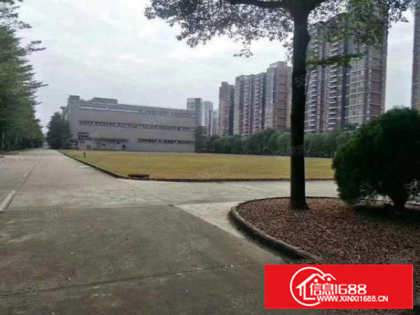 长安镇沙头超大空地单一层厂房90000平方火爆招租高度12米