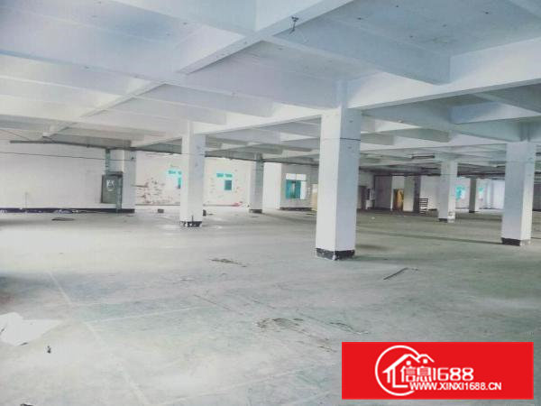 虎门居岐新出花园式独院厂房楼上单一层厂房4200平