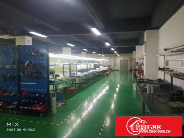 大浪商业中心旁大型工业园独门独院精装厂房低价招租面积自选