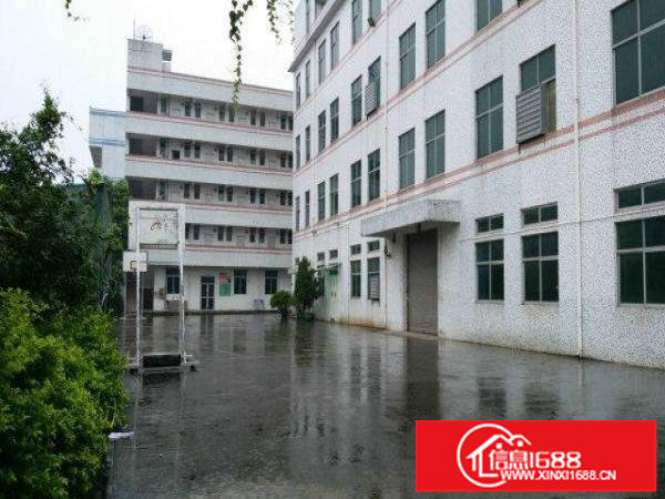 横岗5000平米原房东独栋厂房近高速路口可分租