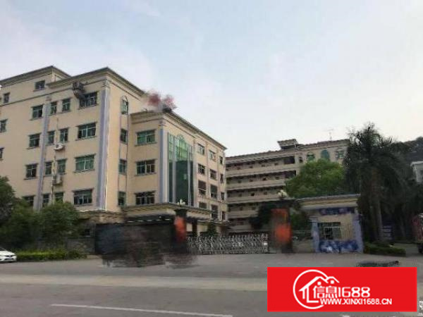 大亚湾新出独院4000平方标准厂房招租