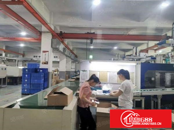 特价清溪镇三中原房东免公摊精装厂房出租一楼1000平方