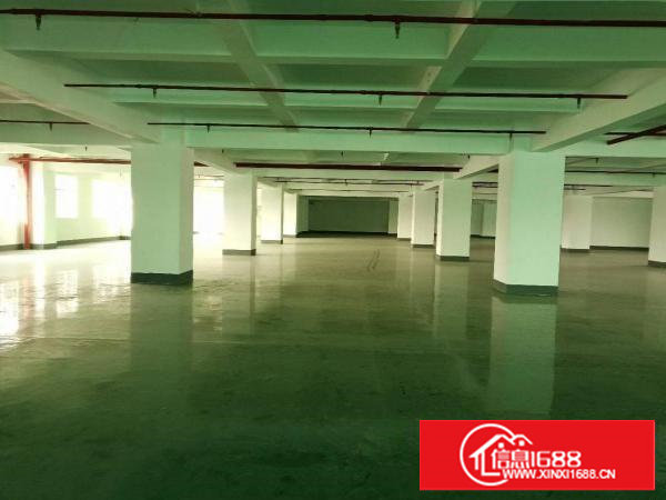 长安镇沙头全新装修厂房5楼2600平方超低价出租，无公摊