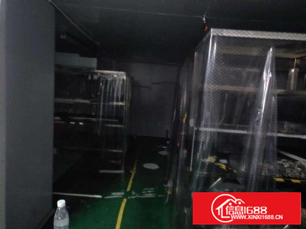 塘厦石鼓新出无尘车间300平打包价6000元拎包入住