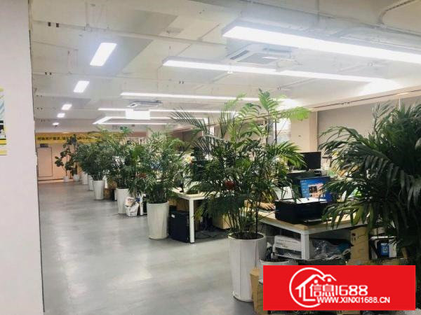 坂田五和地铁站旁整层1860平豪华装修办公室招租