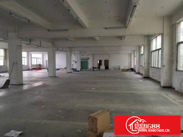 横岗六约独院厂房5000平，带珠宝装修厂房便宜出租