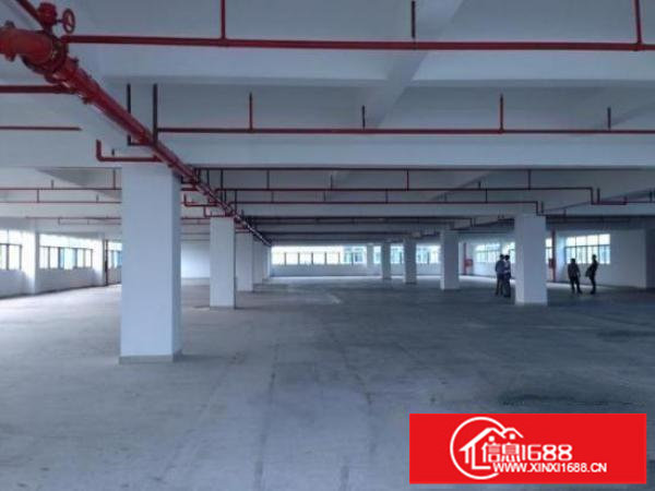 布吉新出花园式厂房22000平米