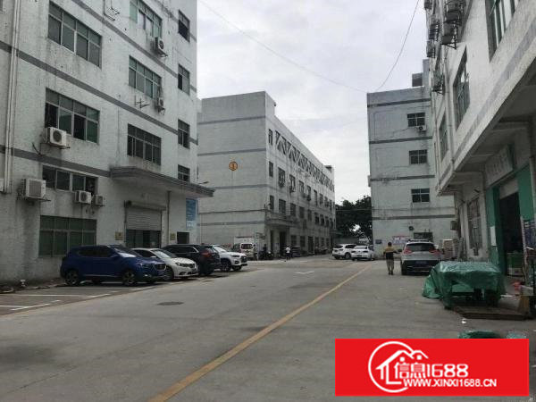 观澜靠近龙华新出1170平厂房出租免费送装修配办公