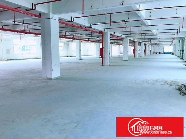 横岗西坑新出三楼490平厂房仓库写字楼出租,带装修办公,