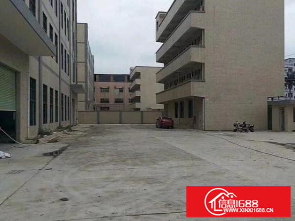 大岭山镇全新独院厂房厂房5000平米