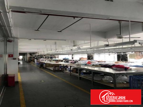 分租盐田沙头角服装厂房