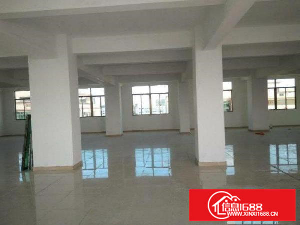 茶山原房东新出独幢三层厂房700平方租7500元