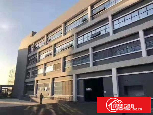 松山湖旁原房东高端厂房