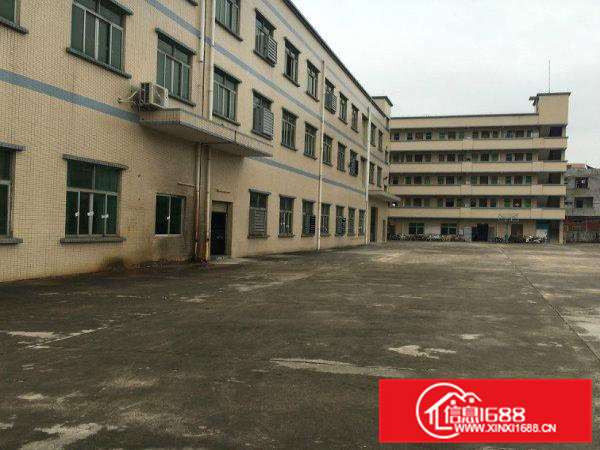 东莞东部新出可做家具，喷油行业独院厂房