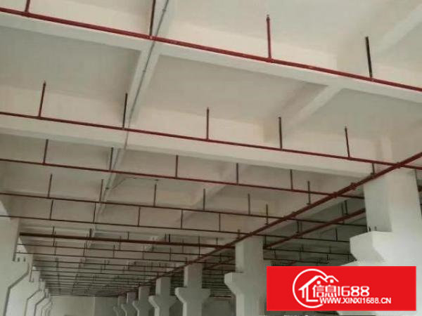 原房东厂房出租，红本双证，可办环评