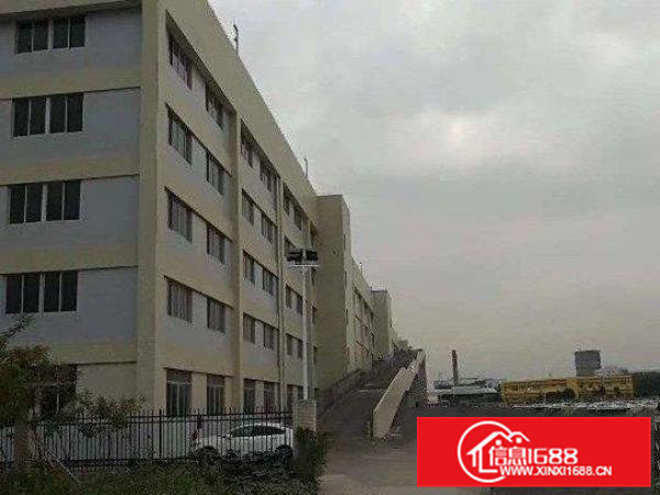 高埗刚搬空一楼厂房750平出租，现成装修拎包入住