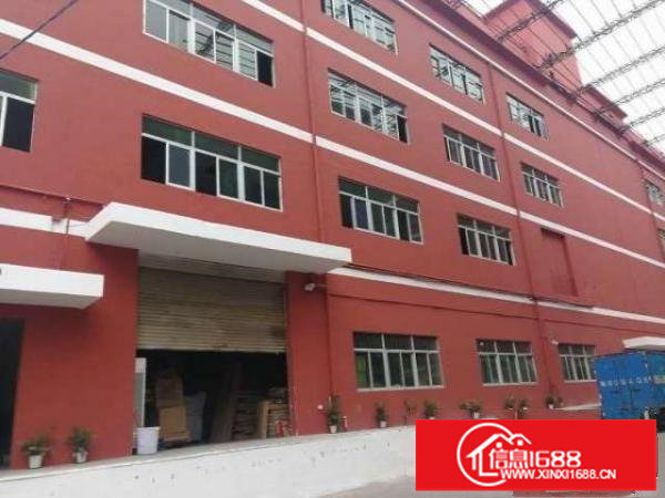 大浪南路新出一楼420平带装修适合机械仓库等