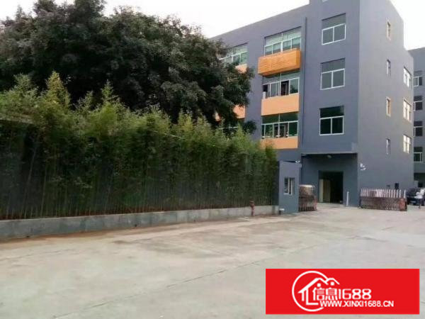 观澜松元原房东无公摊1楼标准厂房1000平米出租