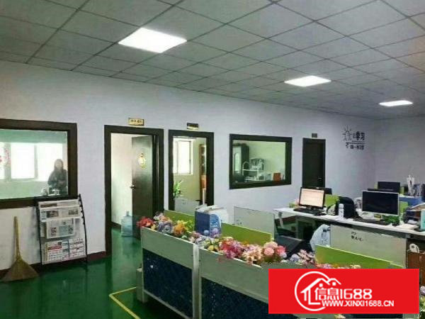 向西新出原房东厂房3楼1200平方带现成装修无公摊