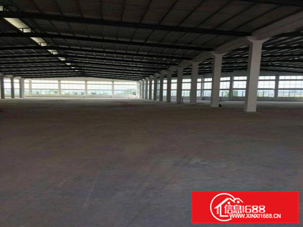 高埗镇独院单一层铁皮房17000平高8米空地超大