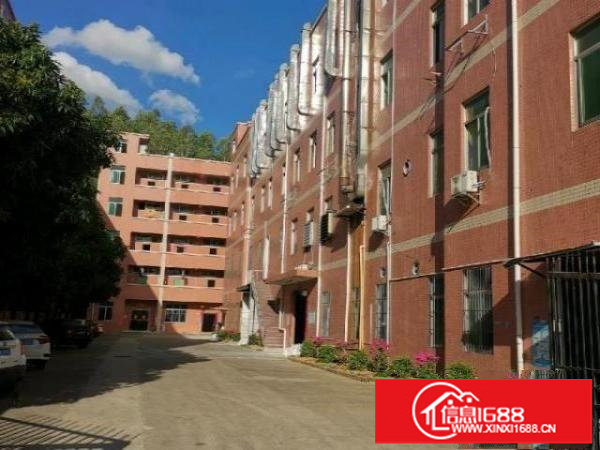 横岗大康花园式独院厂房4000㎡