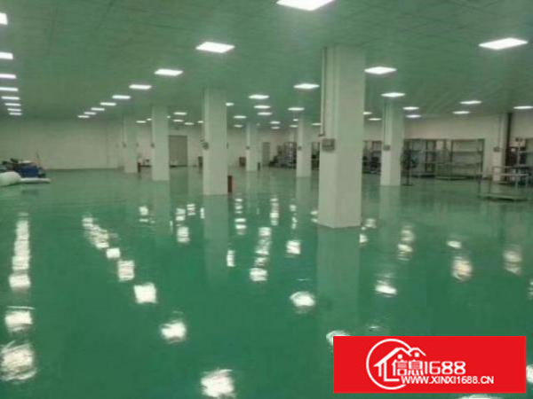 坪山坑梓医疗产业园新出红本精装修1000平厂房出租！