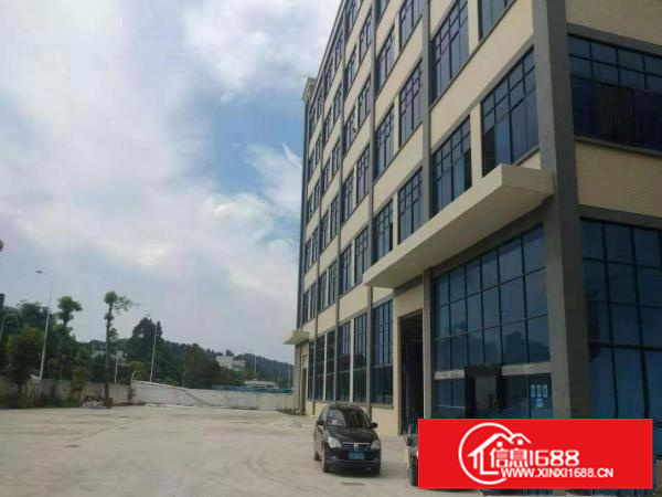博罗罗阳全新大型自动氧化工业园共54000平方厂房出租