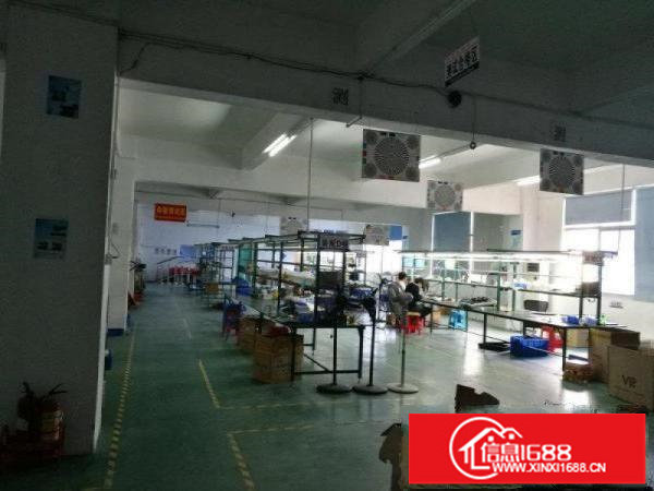 横岗228工业区1200平米带装修厂房出租