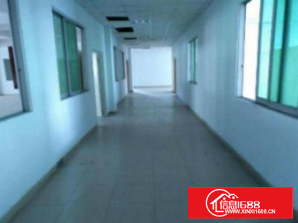 万江带现成装修标准一楼600平方招租